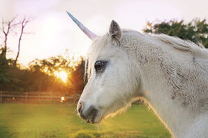 Magical addiction treatment center Unicorn Treatment Center